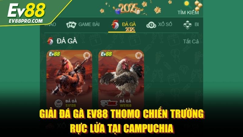 Giải đá gà EV88 Thomo Chiến trường rực lửa tại Campuchia