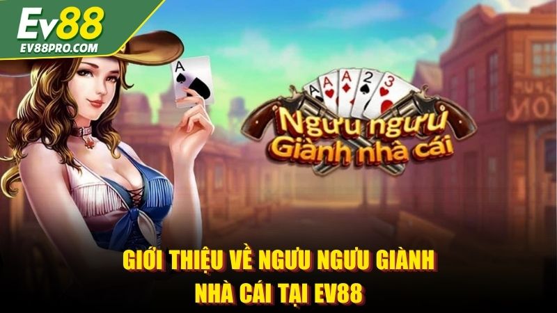 Giới thiệu về Ngưu Ngưu giành nhà cái tại EV88