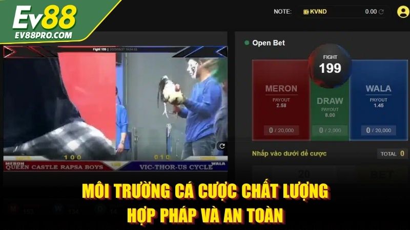 Môi trường cá cược chất lượng hợp pháp và an toàn