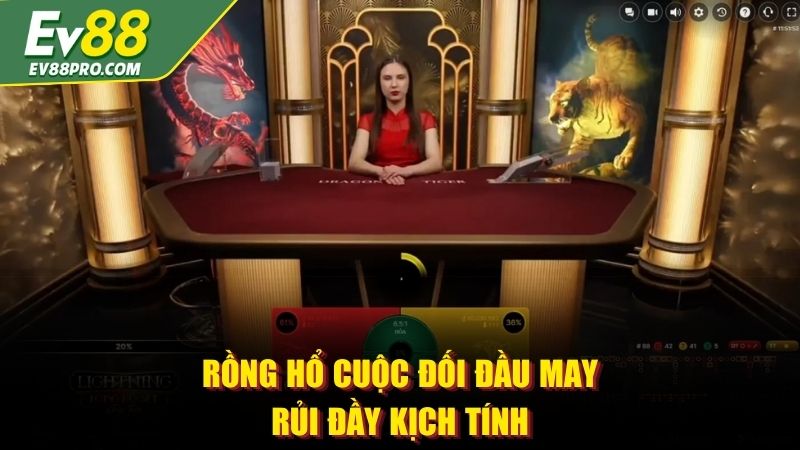 Rồng hổ cuộc đối đầu may rủi đầy kịch tính