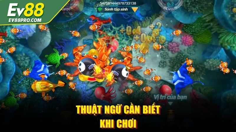 Thuật ngữ cần biết khi chơi