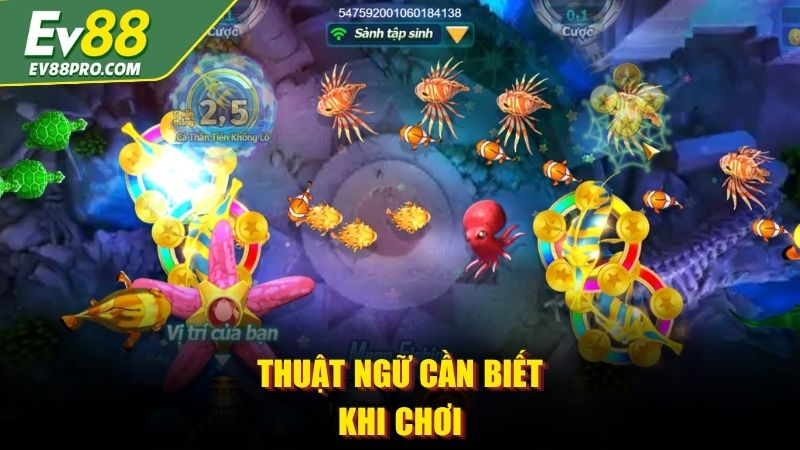 Thuật ngữ cần biết khi chơi