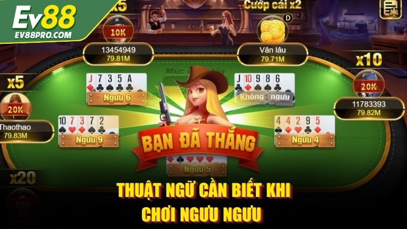 Thuật ngữ cần biết khi chơi Ngưu Ngưu 