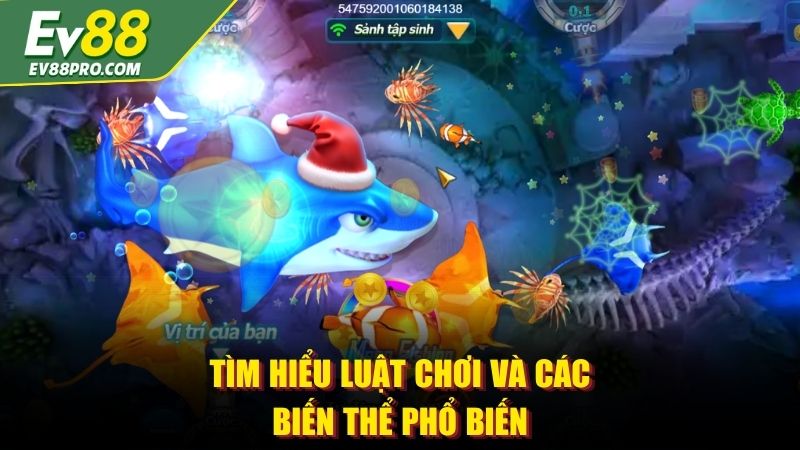 Tìm hiểu luật chơi và các biến thể phổ biến