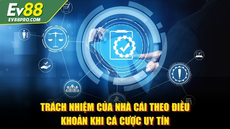 Trách nhiệm của nhà cái theo điều khoản khi cá cược uy tín