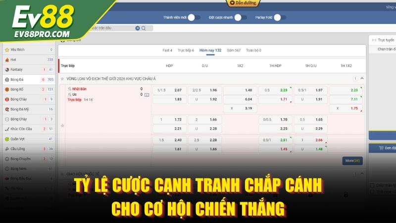 Tỷ lệ cược cạnh tranh chắp cánh cho cơ hội chiến thắng